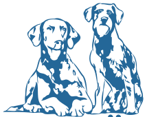 Symbol