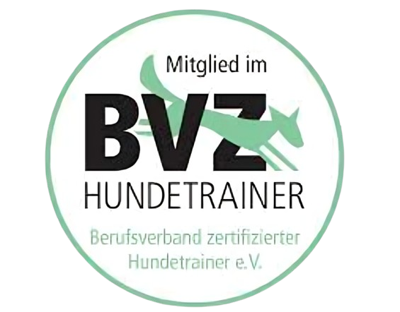 BVXZ logo